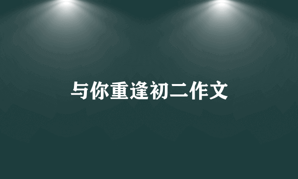 与你重逢初二作文