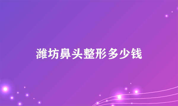 潍坊鼻头整形多少钱