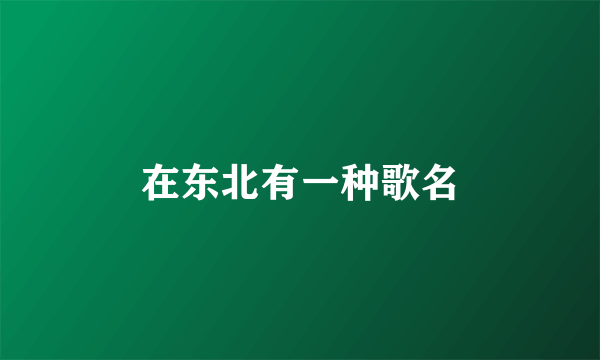 在东北有一种歌名