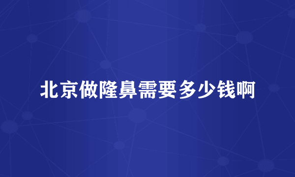 北京做隆鼻需要多少钱啊