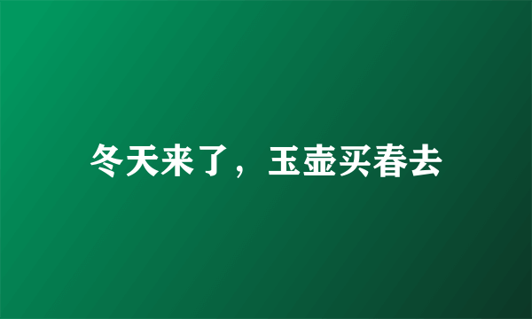 冬天来了，玉壶买春去