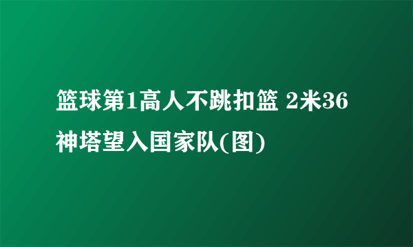 篮球第1高人不跳扣篮 2米36神塔望入国家队(图)