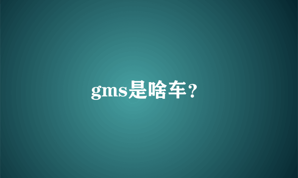 gms是啥车？