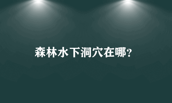 森林水下洞穴在哪？