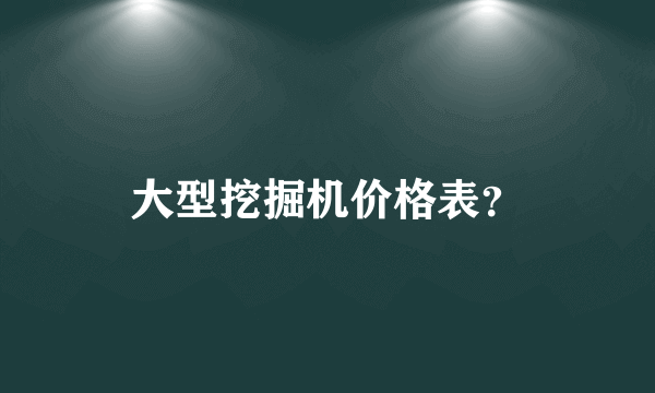 大型挖掘机价格表？